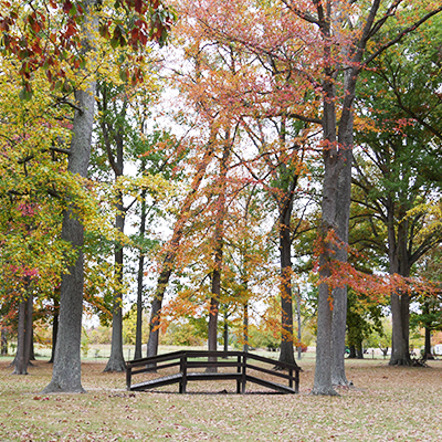 Beautiful Public Parks