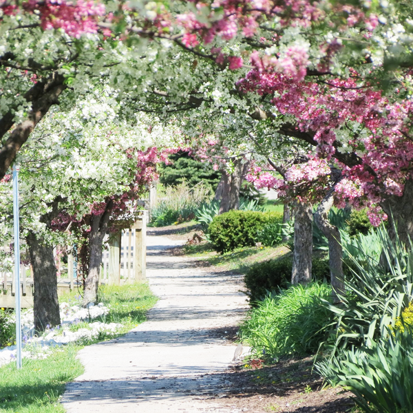 Lake Iola Walking Path